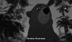 smilethroughtears96:“I’m sorry. I’m so sorry.”