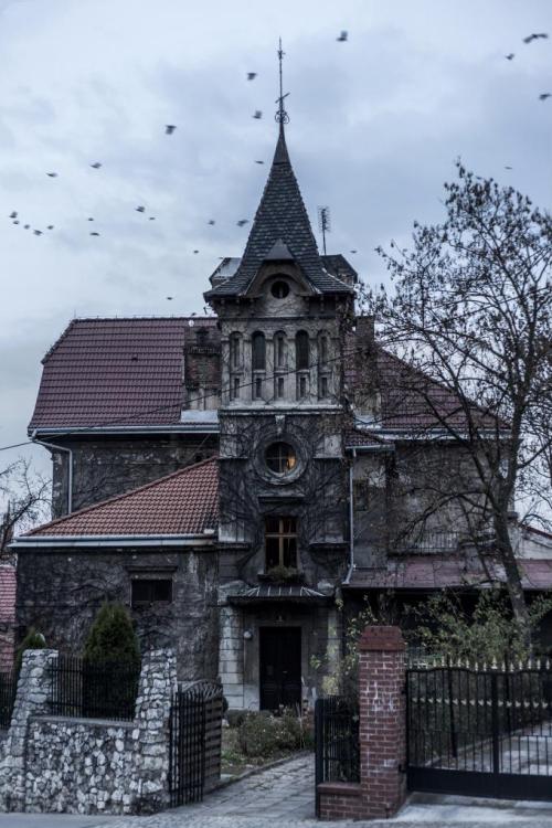 evilbuildingsblog:  Apothecary Dyonizy Matula house in Cracow