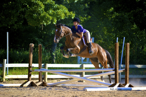 Scopey.Photo Taken By: mgequestrian.tumblr.comRider: ajbequine.tumbr.com (me)