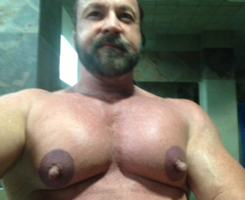 https://nipplepigs.tumblr.com/post/147746105815