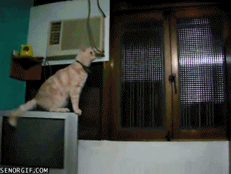 failsnet:  Fuck Gravity