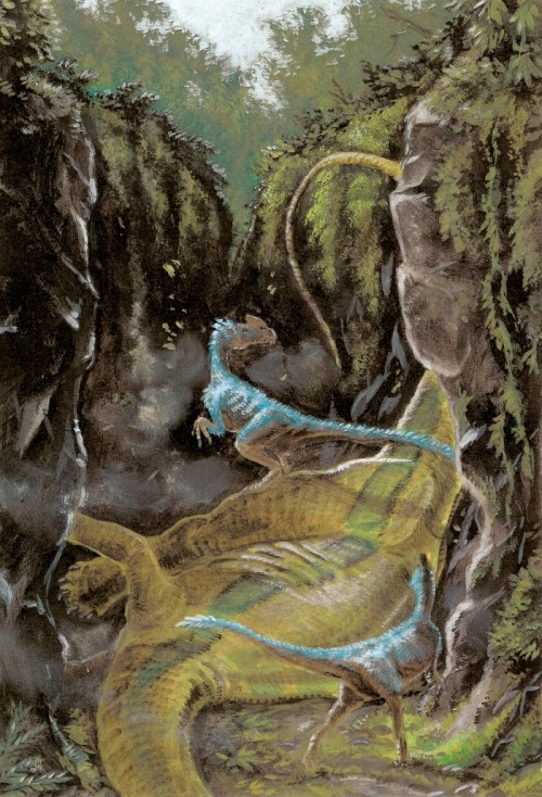 paleoillustration:“Hidden Ravine" unfortunate sauropod and a pair of Guanlong wucaii, by 