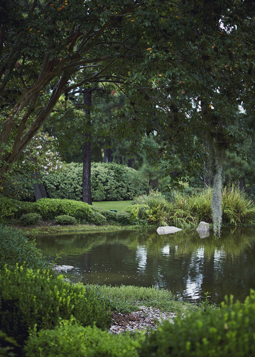 Japanese Gardens… My love for plants and all things beautiful took me to the Japanese Garden 