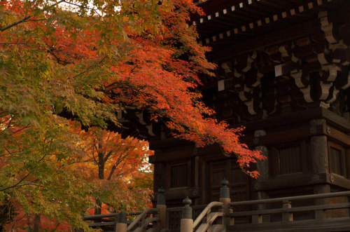yuikki:untitled by zyu10 on Flickr.