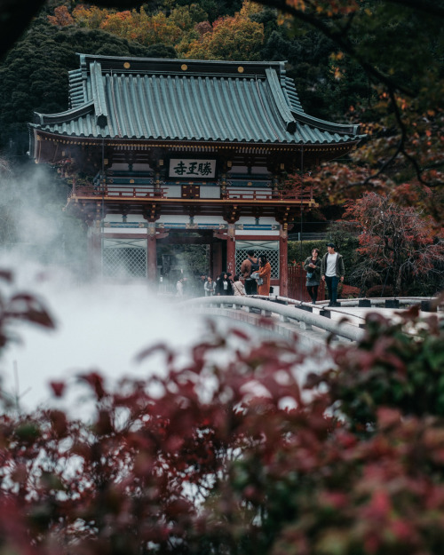 yas-hit: Autumn Katsuo-ji temple2019.11.21