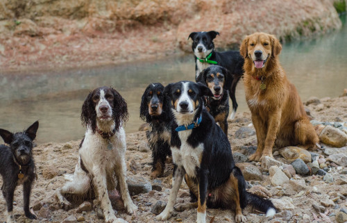 our sloppy group pics of the day 