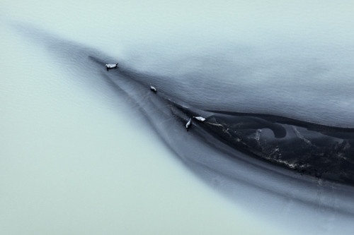 nevver:  Above Iceland, Zack Seckler
