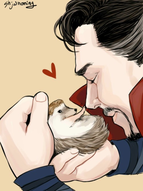 hedgehog Everett &amp; Dr. Strange