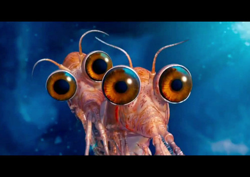 itzahann:  My brother asked me why I keep watching Happy Feet Two even though it’s not as good as the first movie and I`m just likeWill and Bill the krill is why. 