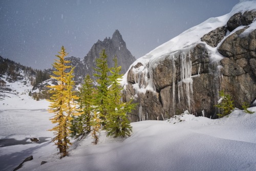 Larch Season . Complete first set of my Enchantments work from October 2019. A variety of my favorit