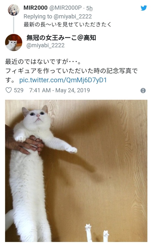 makichiha: thecutestcatever:  bikewheelr:  socialist-tomfoolery:  notcuddles:  kremlint:  erarg:  longcat is probably dead :(  WRONG   Awww, long cat’s owner got married.  this is a good post   “When you say “Looooong”, I think of my cat. Around
