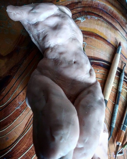 In case anyone forgot…. I LOVE sculpting torsos  . . . #tummy #belly #nude #sculpture #torso 