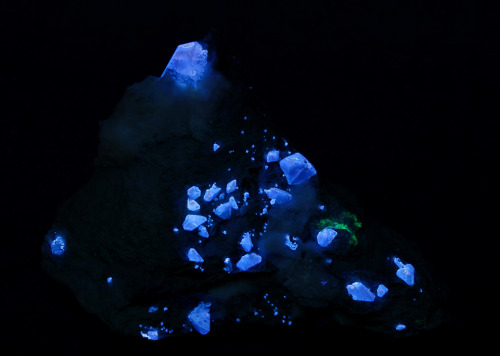  Benitoite from the Benitoite Gem Mine in San Benito County, California, the type locality.  Benitoi