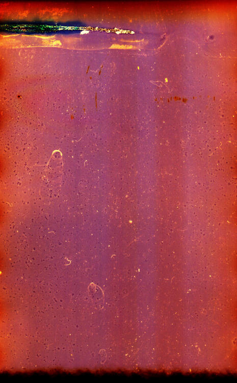 auxiliofaux:untitled, 2014Pentax Asahi 50mmmanual negative chemical manipulationJobo C-41 color home