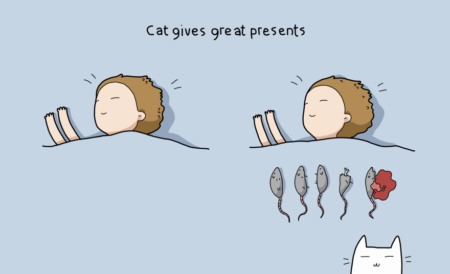 boredpanda:    10 Benefits Of Having A Cat  