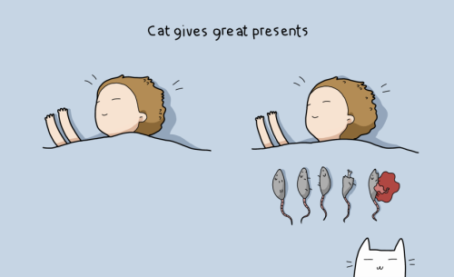 boredpanda:    10 Benefits Of Having A Cat  