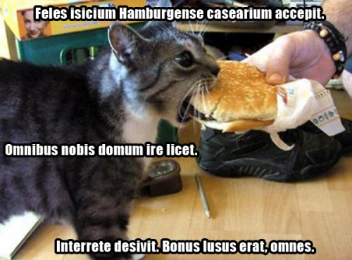interretialia:interretialia:Feles isicium Hamburgense casearium accepit.Omnibus nobis domum ire lice