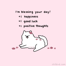 chibird:  A cherry blossom samoyed to bless