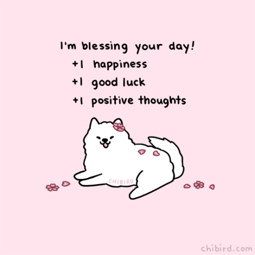 chibird - A cherry blossom samoyed to bless your day and...