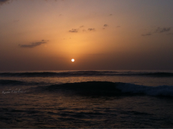 fotografia-intraversa:  Wilderness, Aguadilla, Puerto Rico. ☀