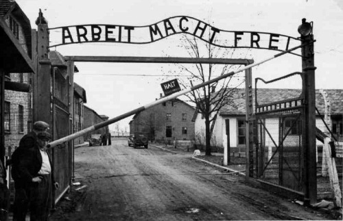 eretzyisrael:  Today is International Holocaust Remembrance Day.January 27 marks the 71st anniversary of the liberation of Auschwitz-Birkenau, the largest Nazi death camp. In 2005, the United Nations General Assembly designated this day as  International