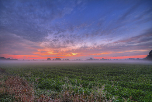 Foggy fields by Metal Maik on Flickr.