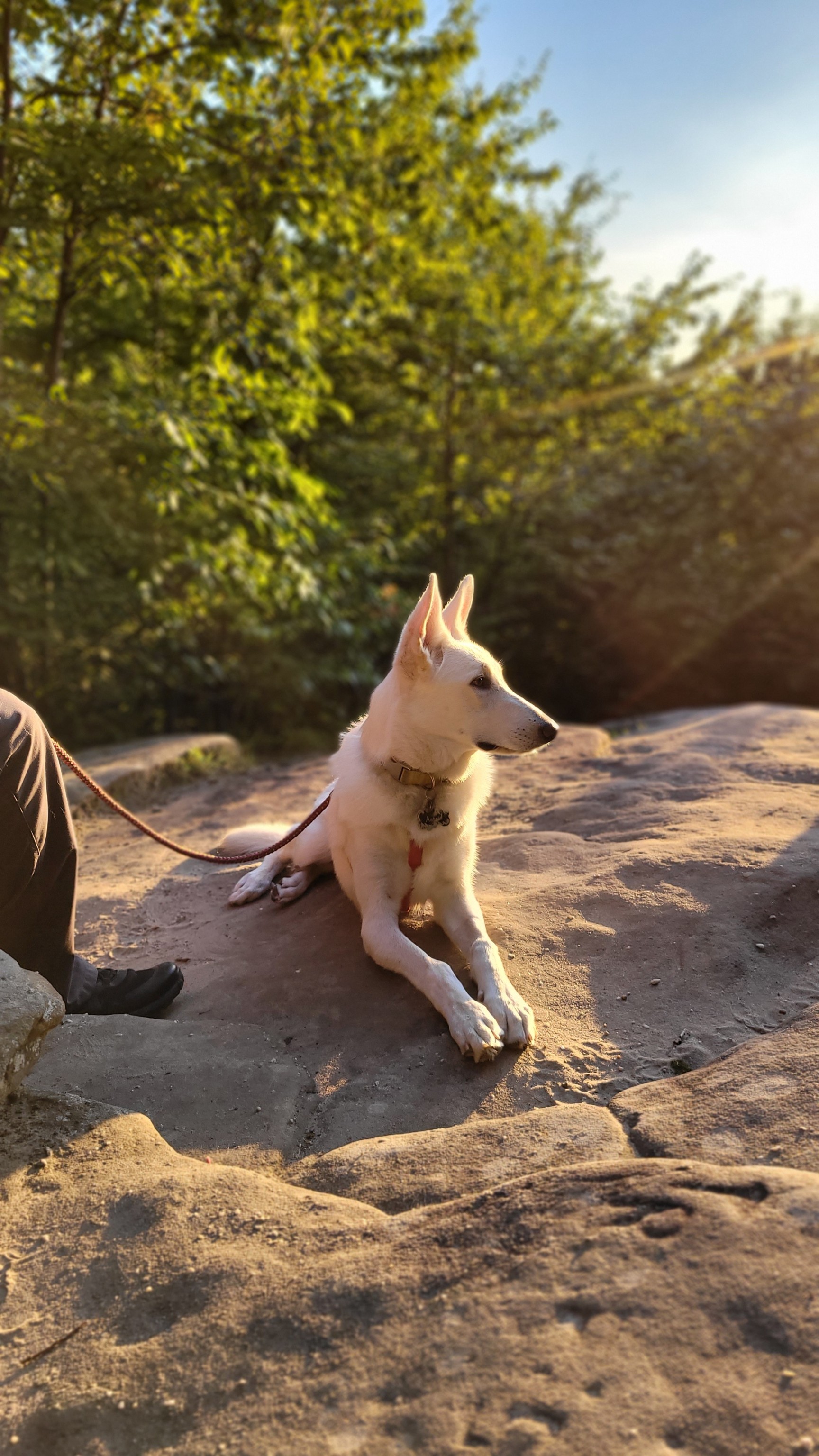 katiiie-lynn:Impromptu date night evening hike in the CVNP to watch the sunset from