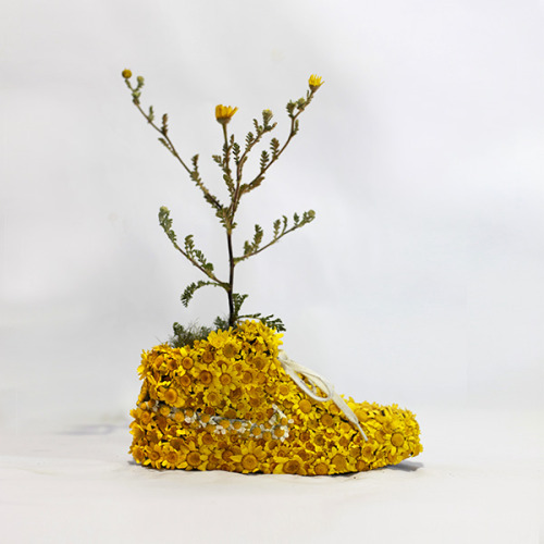 Some of artist Christophe Guinet’s “Just Grow It!” creations. Via his Web site, Monsieur Plant.