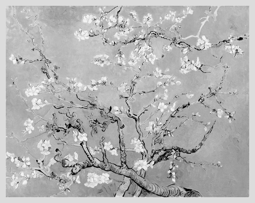 Vincent van Gogh, Almond Blossom (1890)