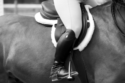 stirrup–studies: i’d kill for a pair of monacos  april 15, 2017 © equitation nation photography