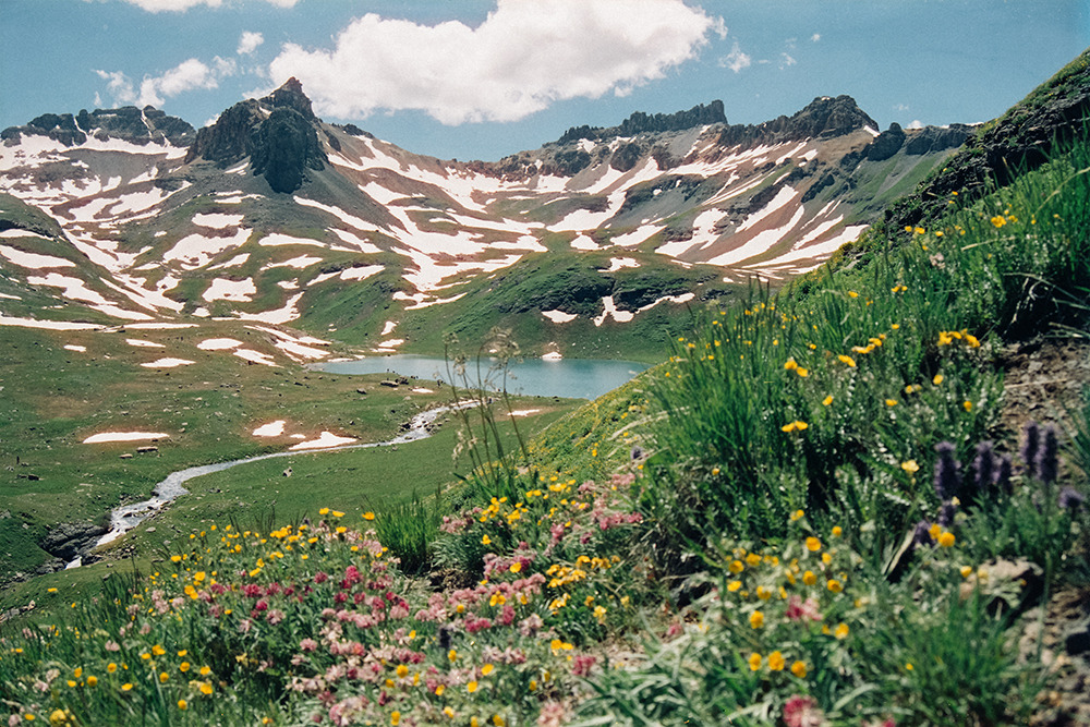 kevinruss:New print Summer Lake Wildflowers now available