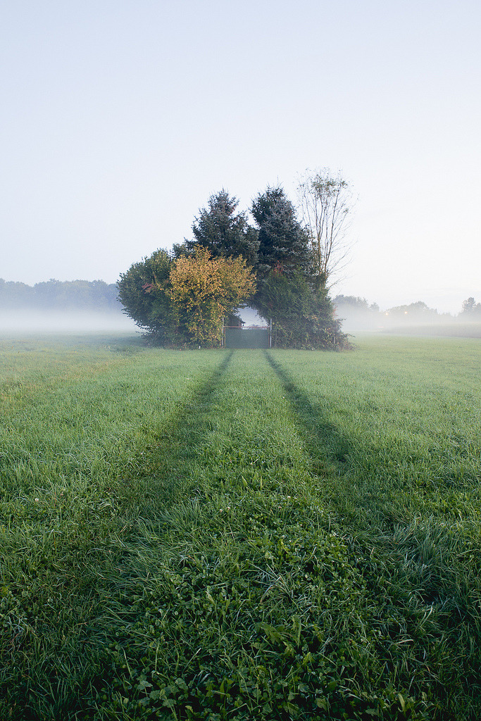 remash:
“the gate to…..~ stefan egly photographer
”
lindenlife