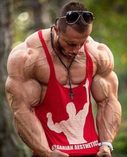 muscles make me crazy