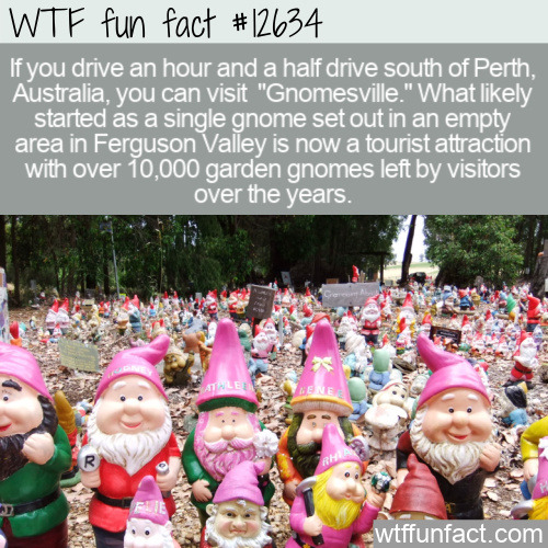 In Australia, there&rsquo;s a tiny tourist attraction inhabited by thousands of gnomes. Click to