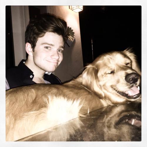 chriscolfernews: hrhchriscolfer 90 lbs and he still thinks he can fit in my lap.