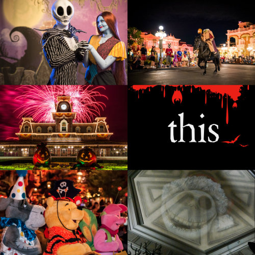 haveamagicalday:  Disney Aesthetic: Disney Parks  Boys and girls of every ageWouldn’t you like to se