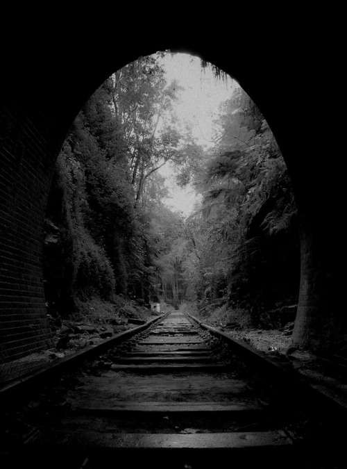 rememberless:  Photo by Dalal Nizam 