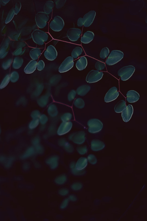 sanwik:My photography.