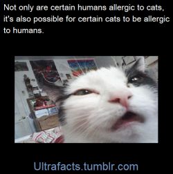 ultrafacts:     (Fact Sources: 1 2) Follow