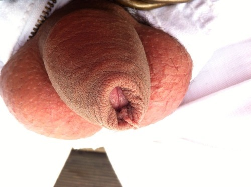 http://mrnopantsnoway.tumblr.com/post/55663989799
