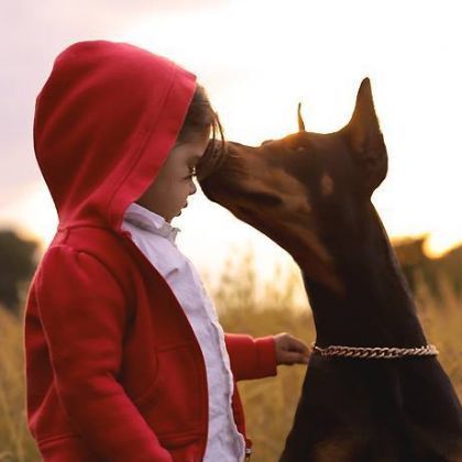 the-goddamazon:  nelliwolfram:  Cutie and the Beast The last one is my favorite &lt;3 