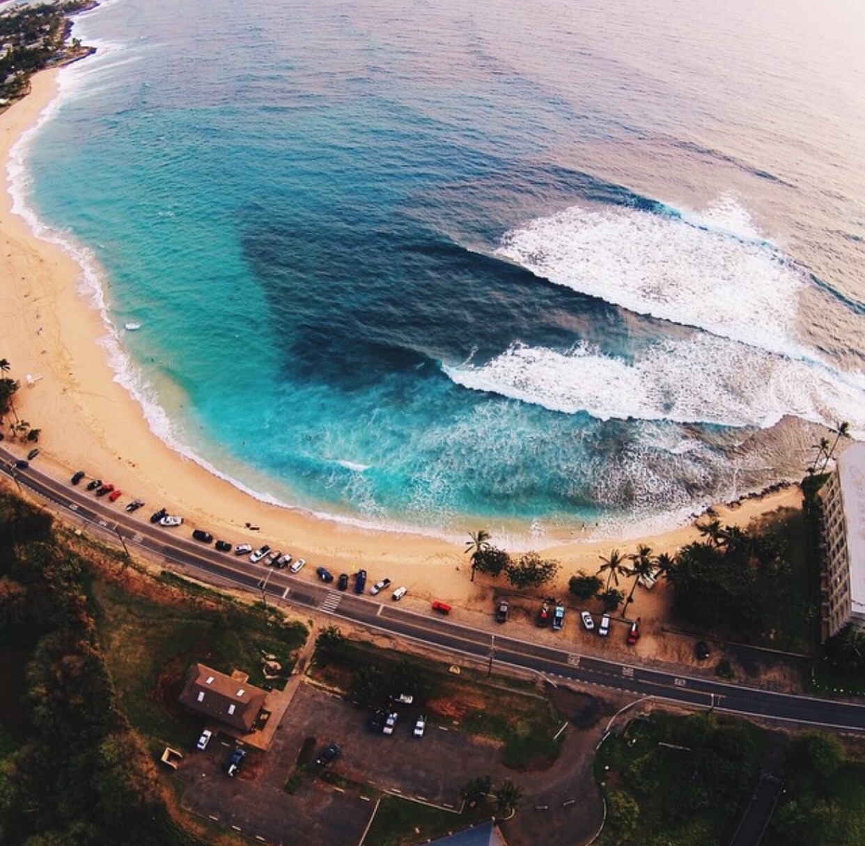 vscotropical:  /Ane 