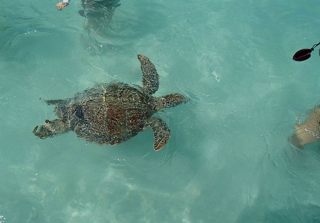 namaste-kid:  Namaste-kid:  Following back similar blogs 