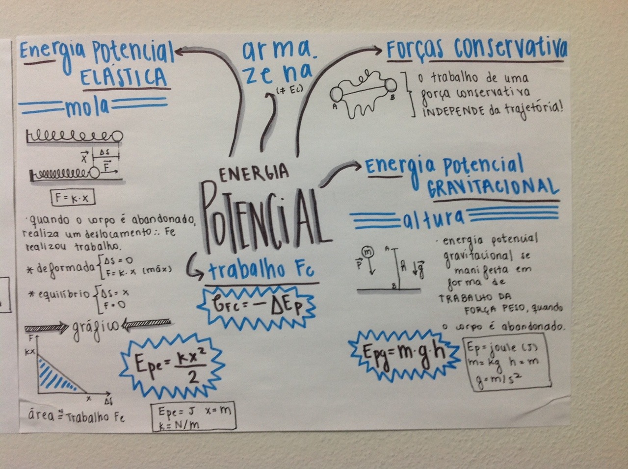 manu studies