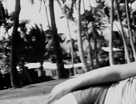 Porn photo simplyelvis:  Elvis Presley at the Coco Palms