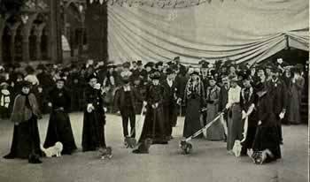 Today in History, December 27th, 1871,The worlds first cat show is held at the Crystal Palace in Lon