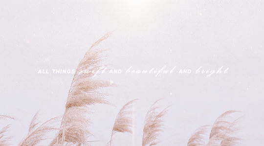 peach pit  one quotefour lockscreens  the song of