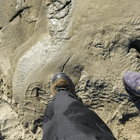 Dirt Stimboard !