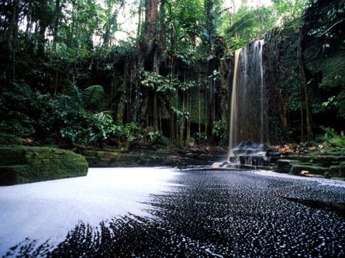 aroundtheworldin80seconds: Suriname A waterfall breaks the stillness in a lush pocket of Suriname 