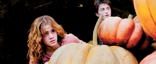 sam-dean:HALLOWEEN COUNTDOWN with Harry and Hermione.